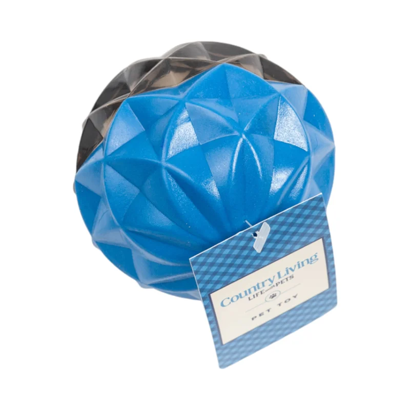 clickseattlelocal3997644