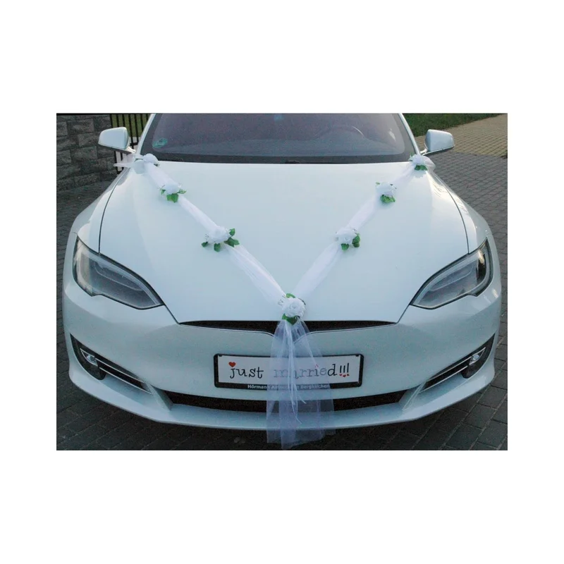 ibspot-178251
