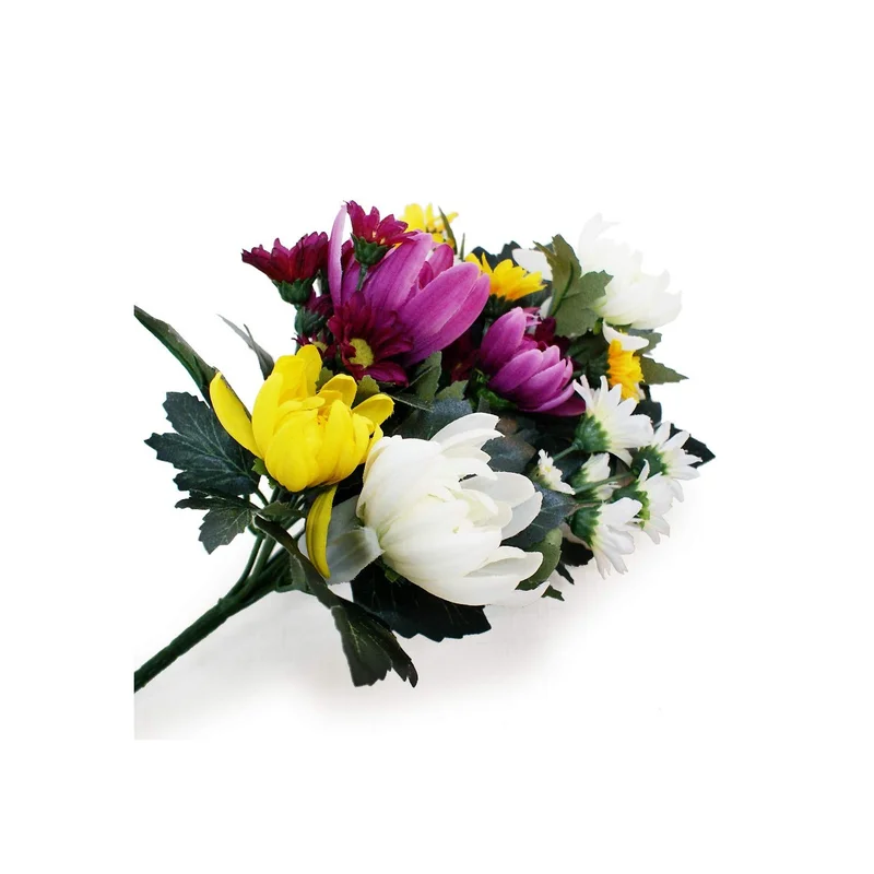 ibspot-24209676