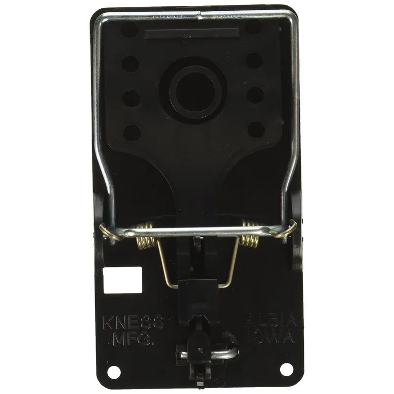 ibspot-24500229