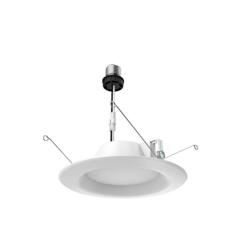 ibspot-25000669