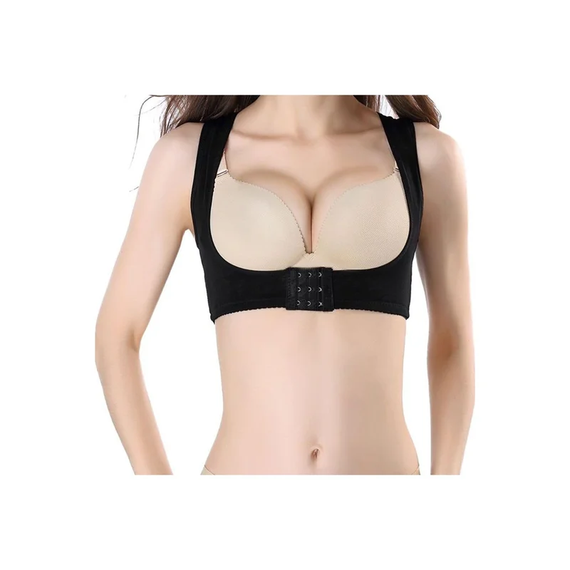 ibspot-44981011