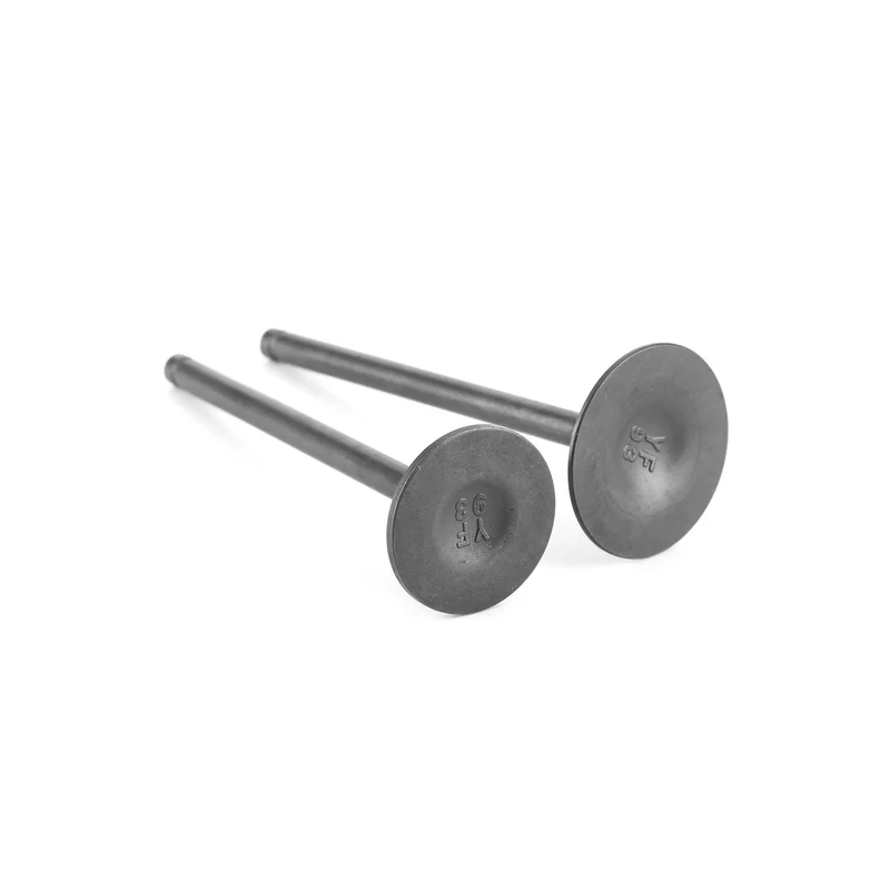 ibspot-45768009