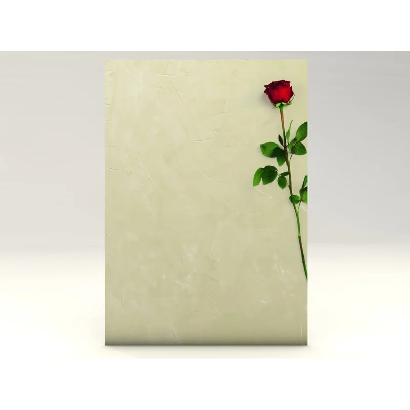 ibspot-5228043