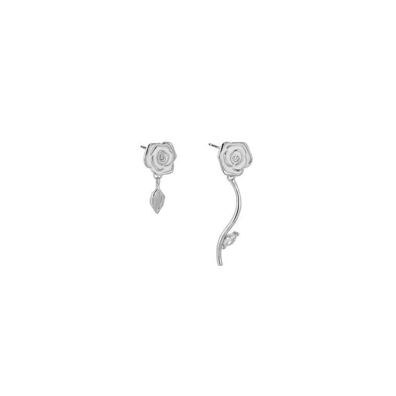 ibspot-55080120
