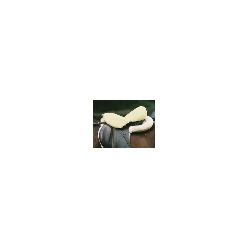 ibspot-55582091