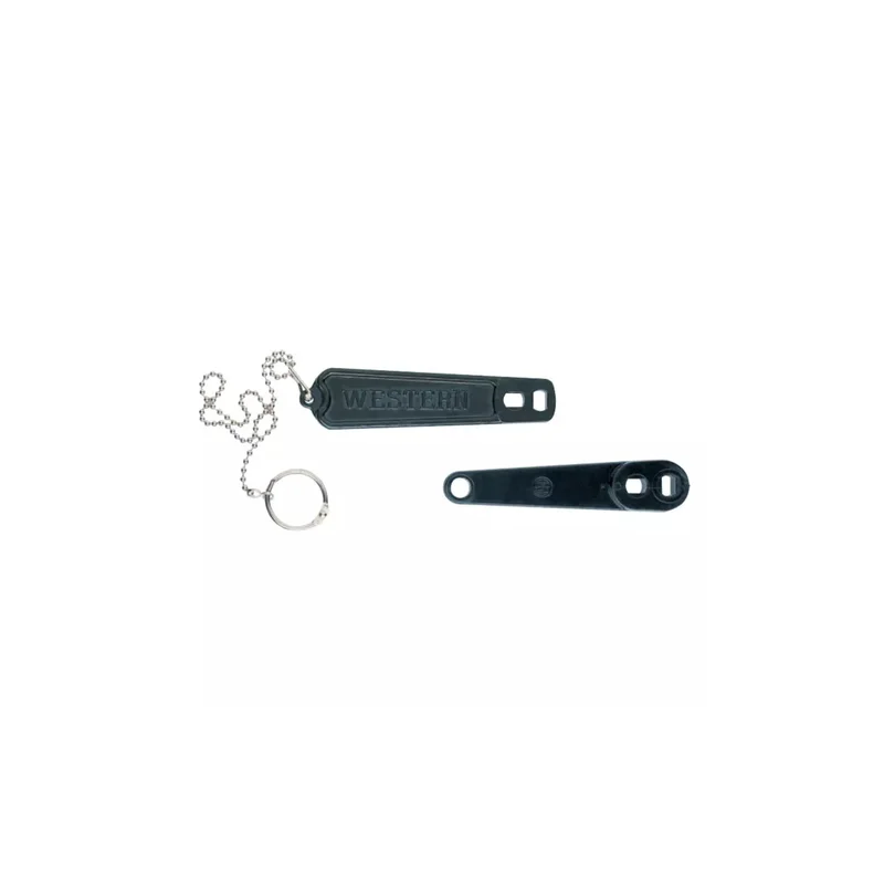 ibspot-55731358