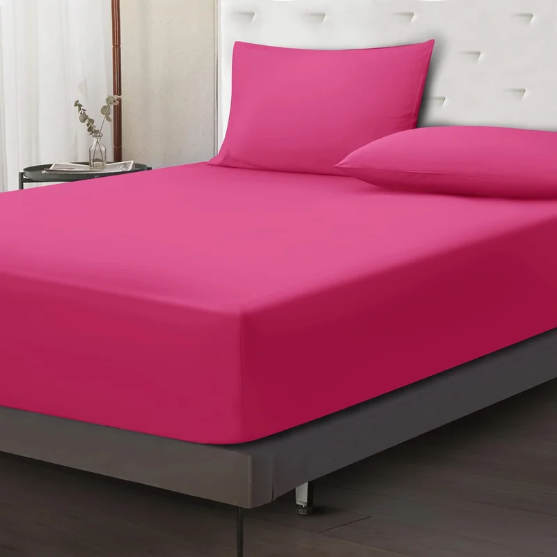 ibspot-559754