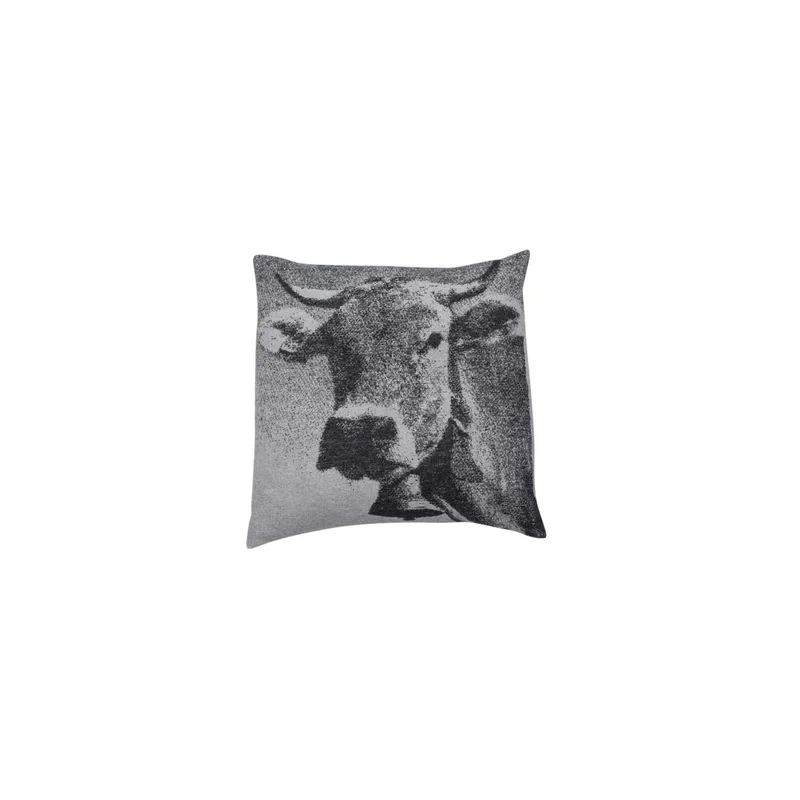 ibspot-56800901