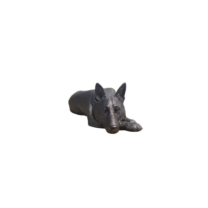 ibspot5099644