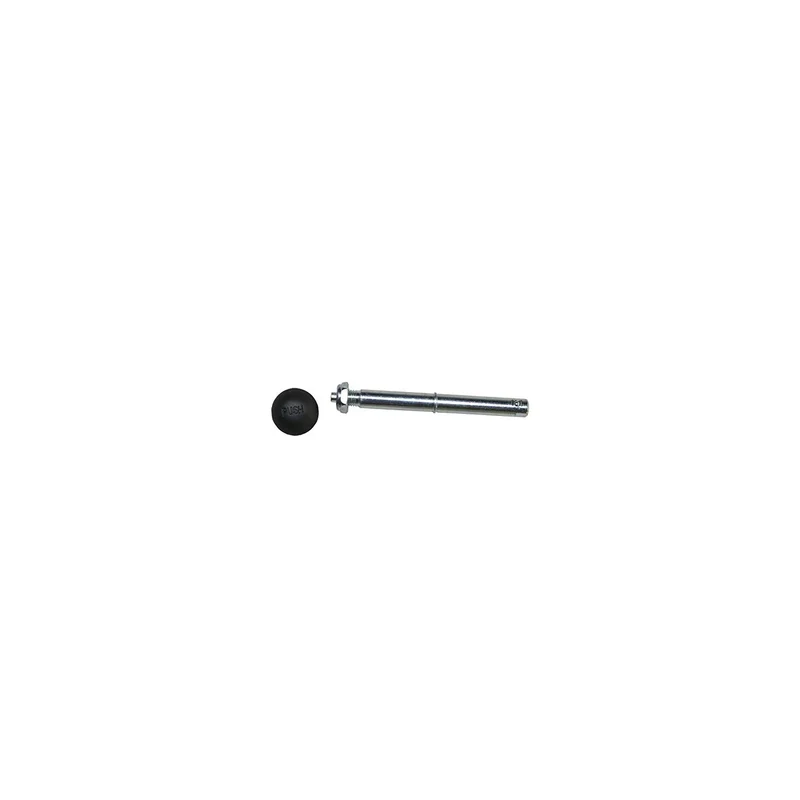 ibspot5580441