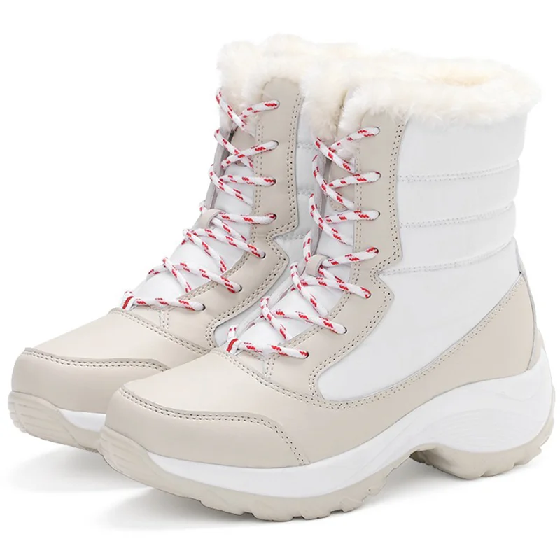 lcpshop3908341