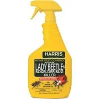 pettigrew-online4235888