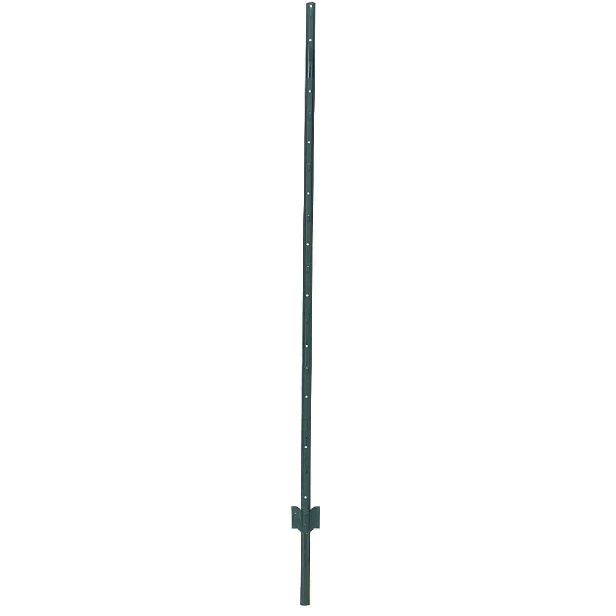 russellsofneillsville-14407809