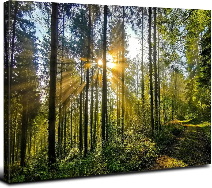 zeebooth-24627902