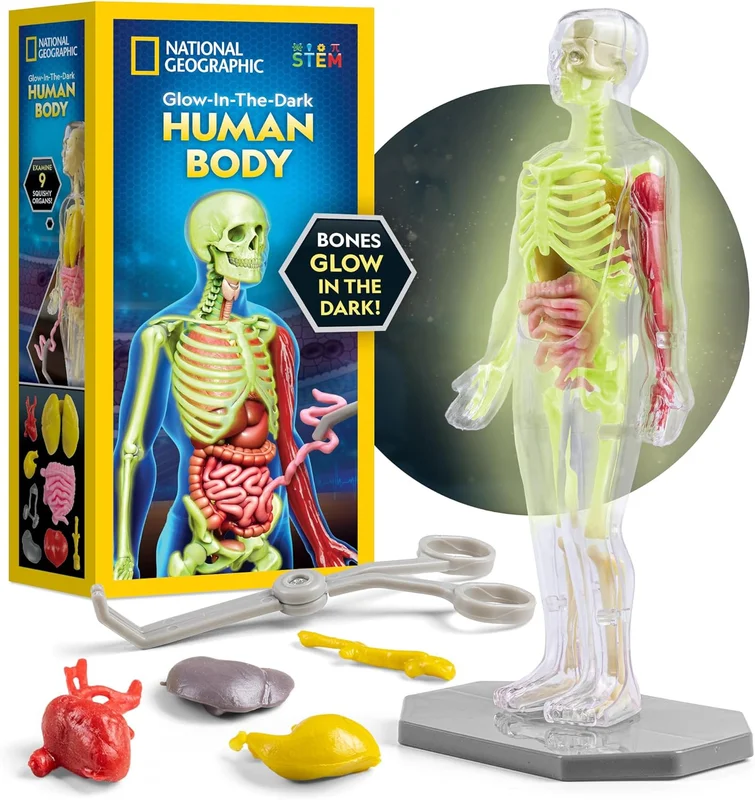 zeebooth-34695152