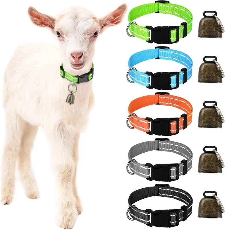 zeebooth-44444090