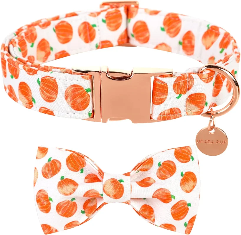 zeebooth-44560938