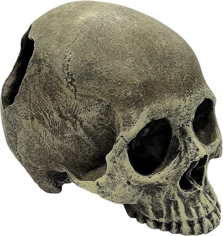zeebooth-44575444