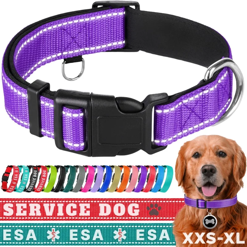 zeebooth-44639444